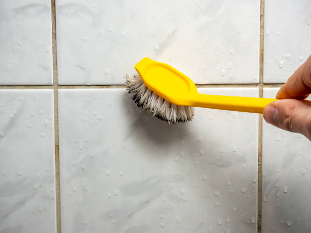 Best Mold Cleaning Services  in Orange, CA