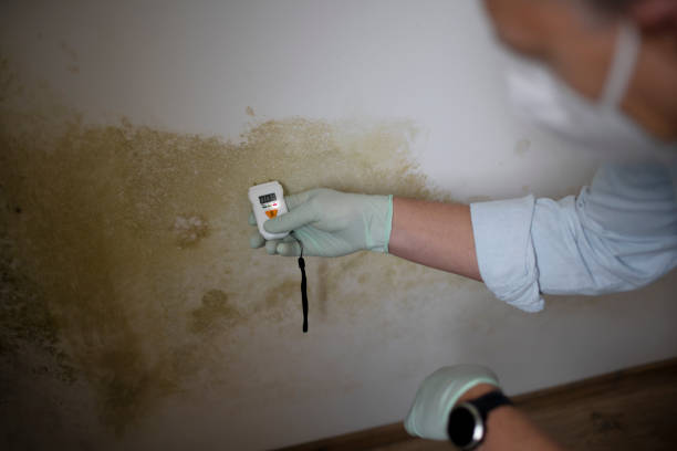 Best Crawl Space Mold Removal  in Orange, CA