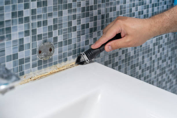 Best Professional Mold Removal  in Orange, CA