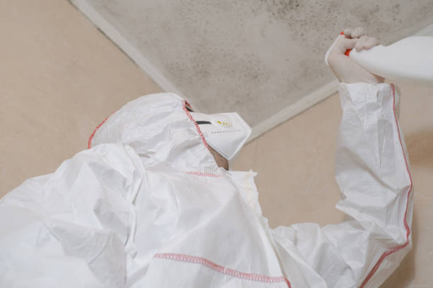 Trusted Orange, CA Mold Removal Experts