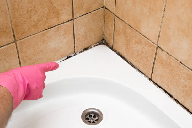 Best Residential Mold Removal  in Orange, CA